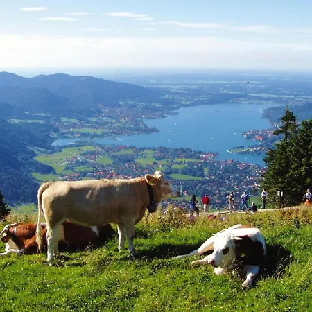Daire Pretty Holiday In Dreamlike Setting Of Tegernsee