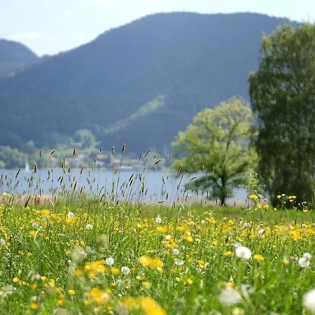 Apartment Pretty Holiday In Dreamlike Setting Of Tegernsee Bad Wiessee